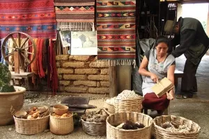 我们的校园 OAXACA 8